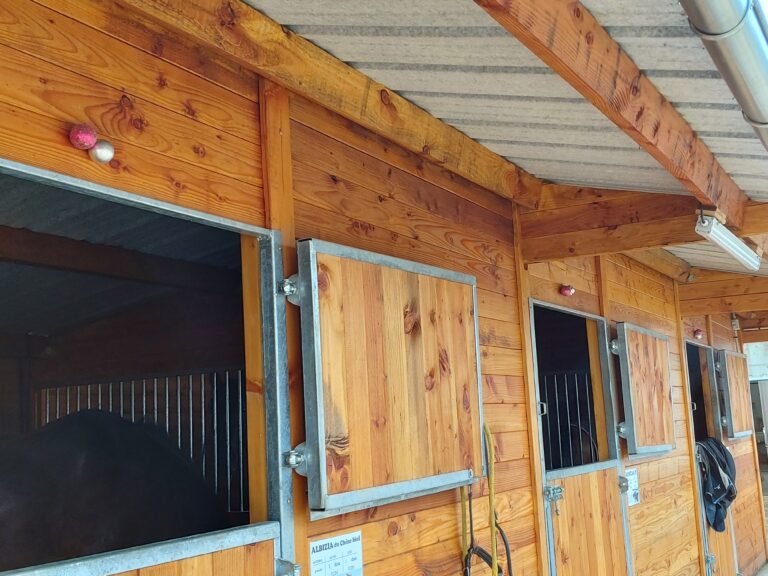 LCI Cheval Double Swing Stable Door