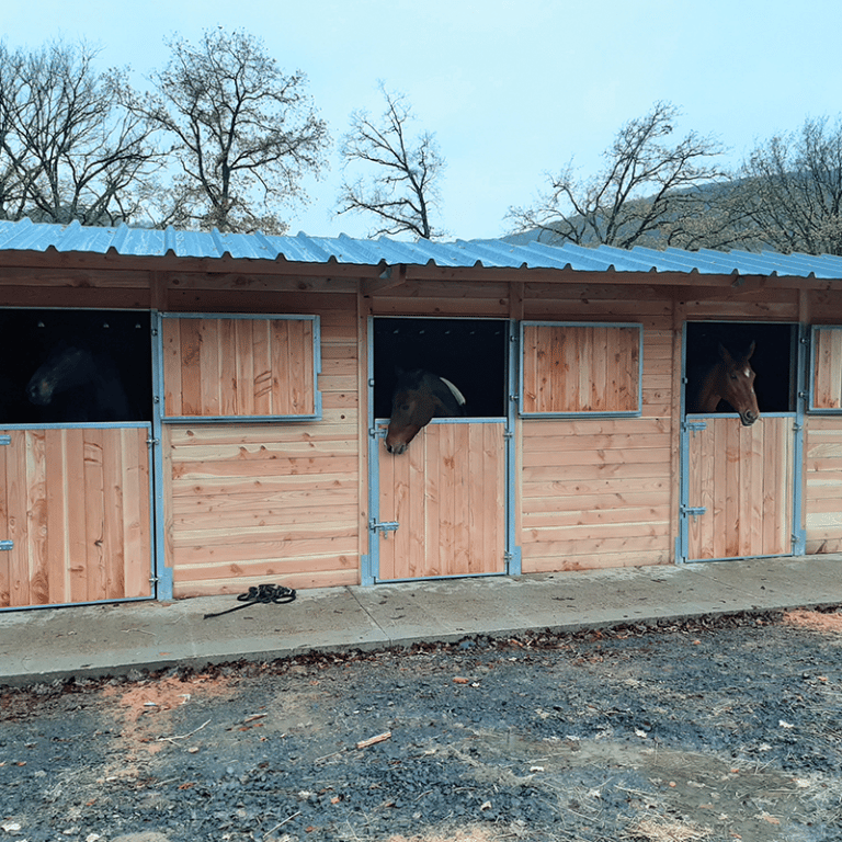 Fiche produit 3 box en ligne bois Douglas