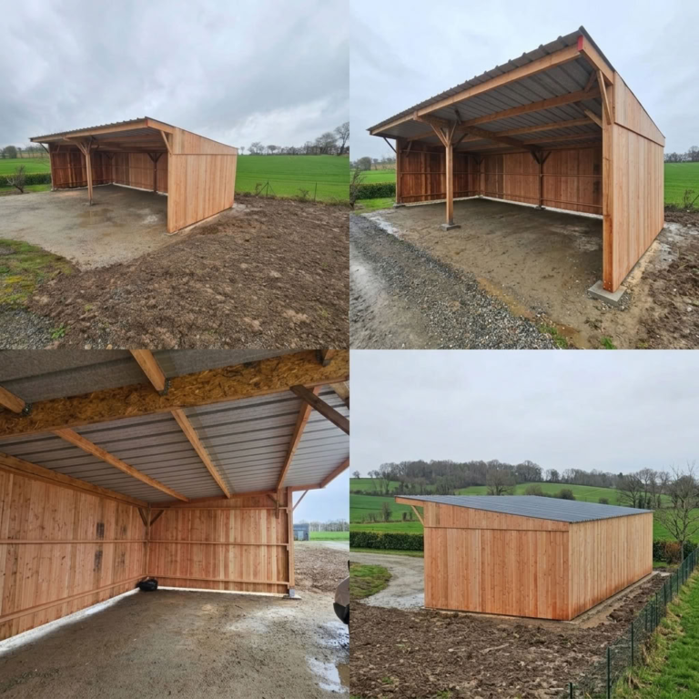 Abri de stockage en bois Douglas