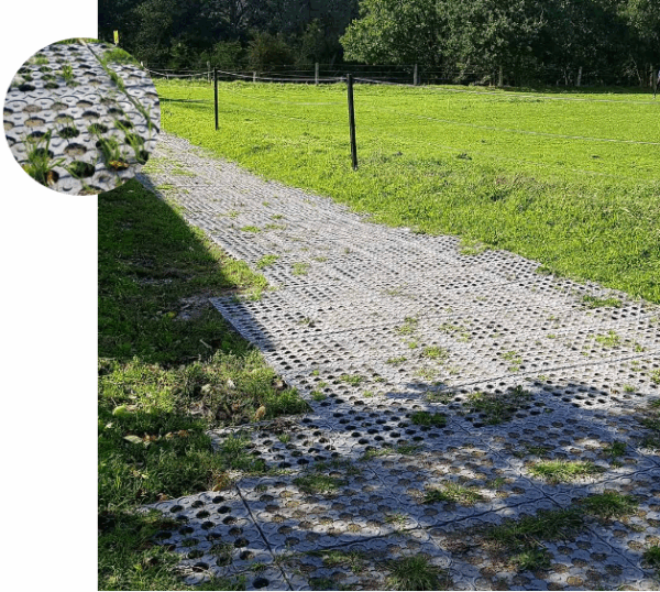 Stabilisation Slabs for Horse