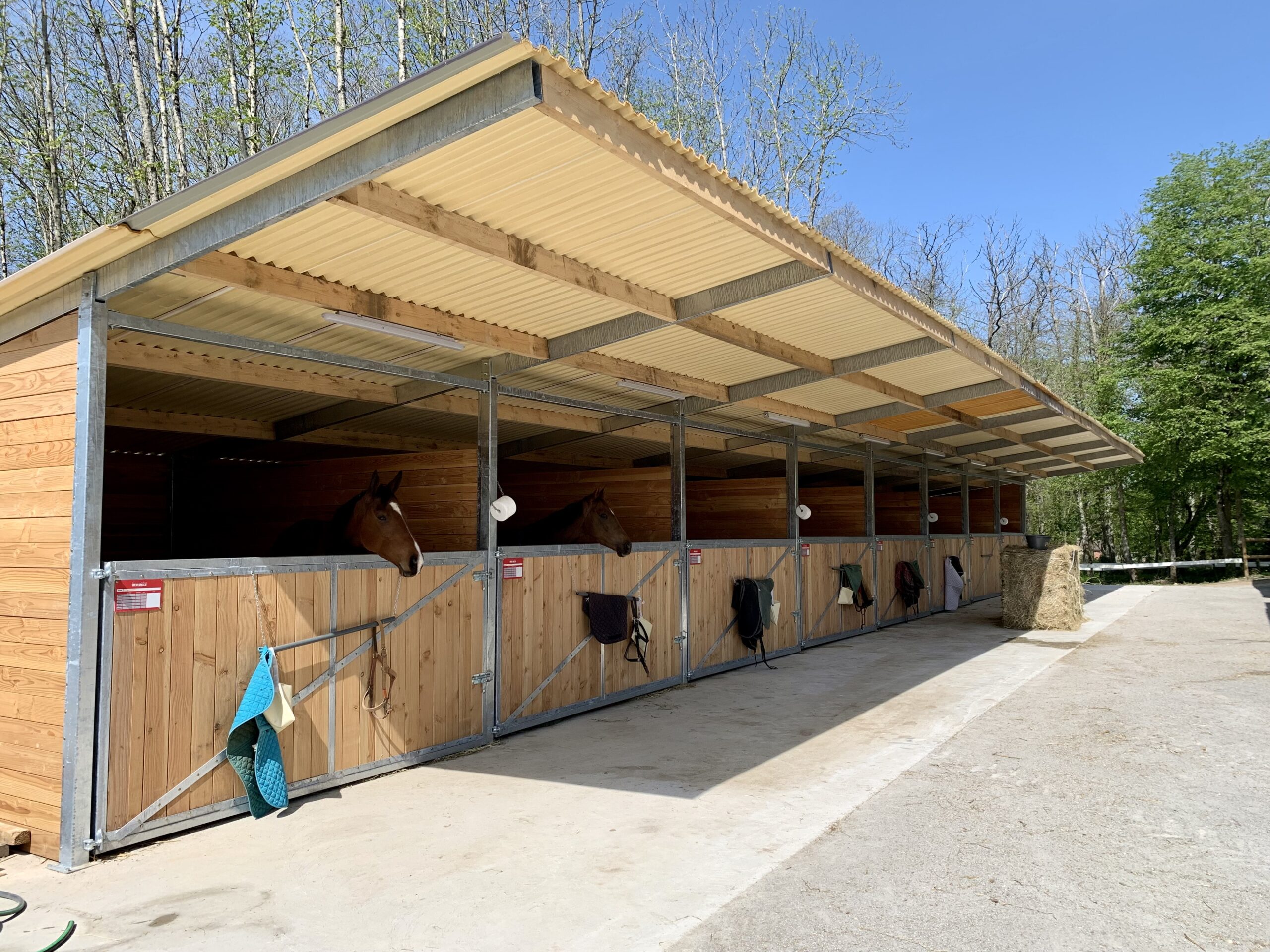 PRO Horse Box with Full-Width Swing Gate