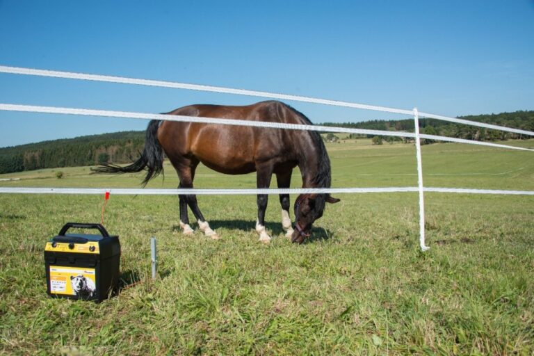 HORIZONT Ranger AN2000 Autonomous Fence Energiser for Horse Fencing