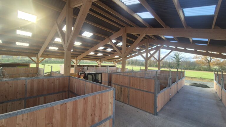 Solid Douglas Timber Stable Partition – Robust Divider for Horse Stables