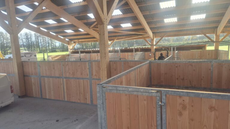Solid Douglas Timber Stable Partition – Robust Divider for Horse Stables