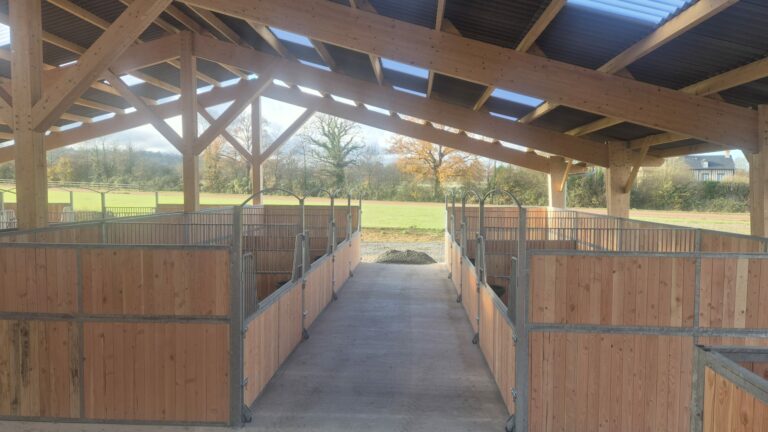 Solid Douglas Timber Stable Partition – Robust Divider for Horse Stables