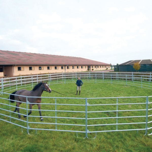 Galvanised Lunging Ring – Durable and Relocatable Horse Training Are