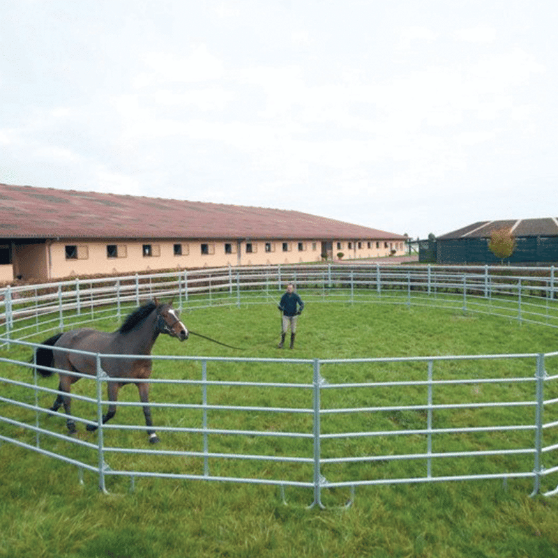 Galvanised Lunging Ring – Durable and Relocatable Horse Training Are