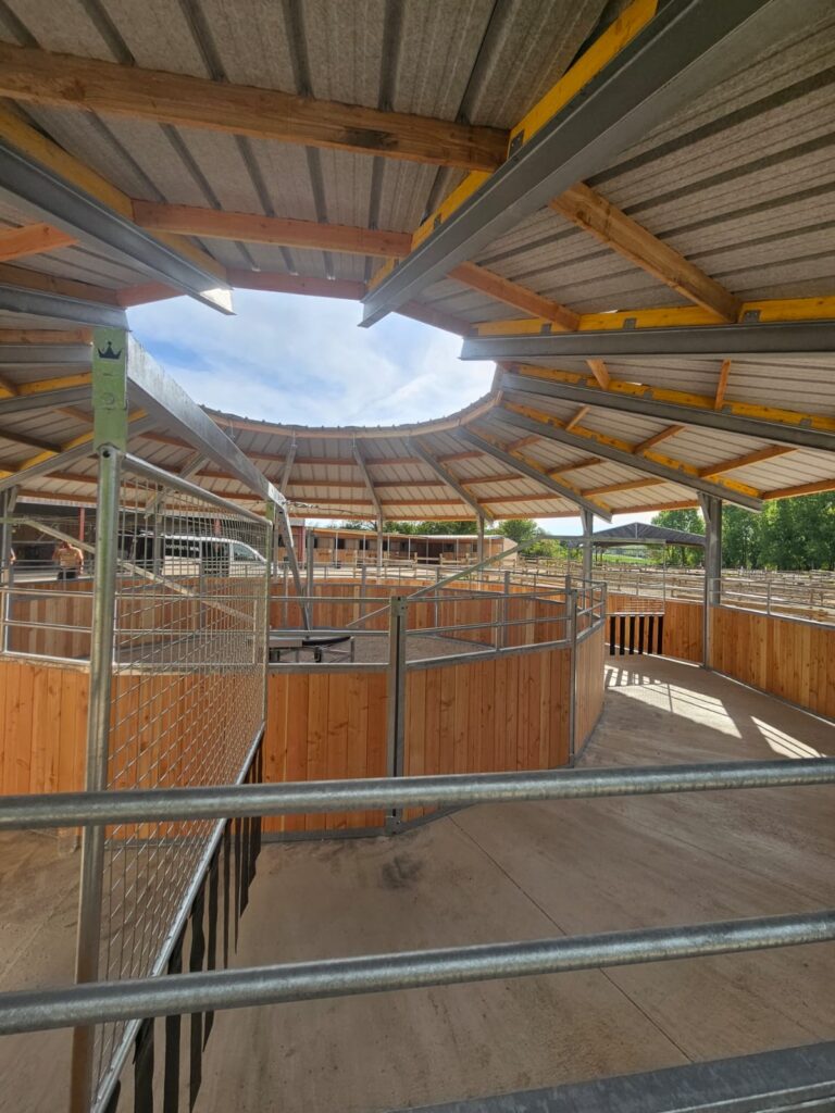Interior of a Covered Horse Walker