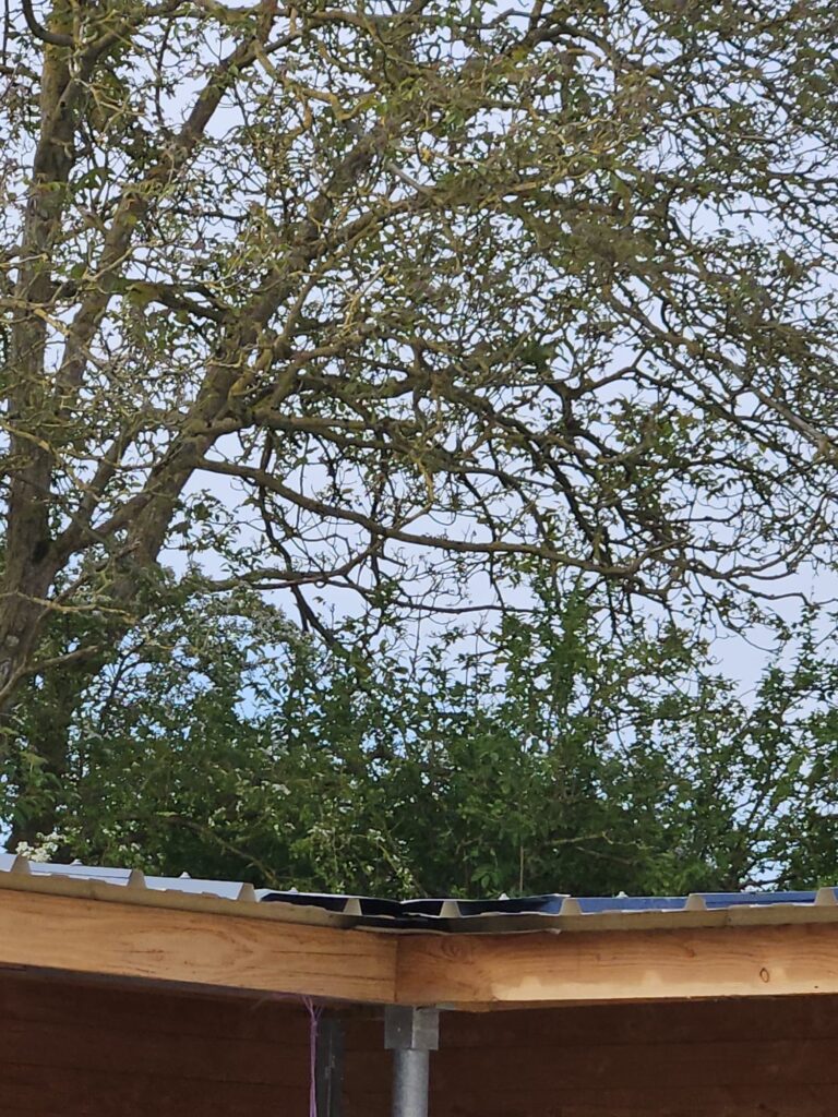 Roofing details of a covered horse walker