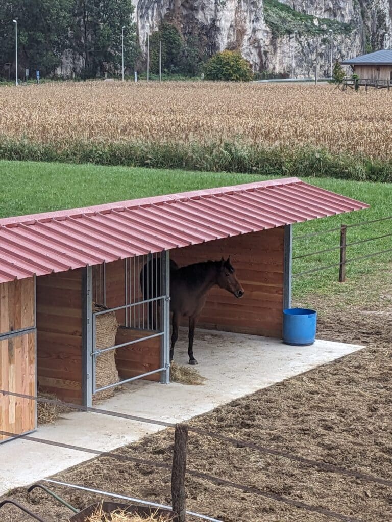 Modular wooden horse shelters in French Douglas fir. The ideal solution for creating and customising equestrian facilities to suit your horses and your requirements.