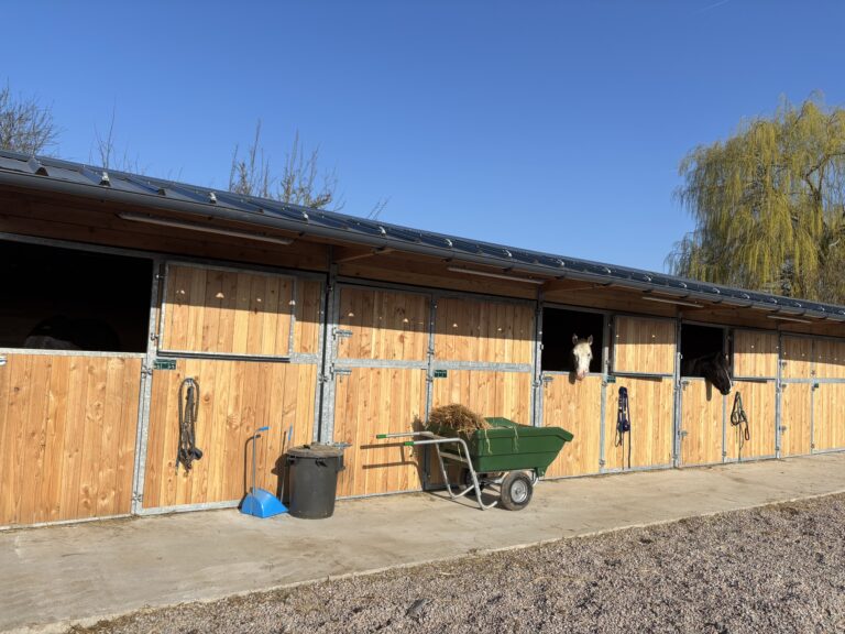 Horse Stables with Full-Width Openings