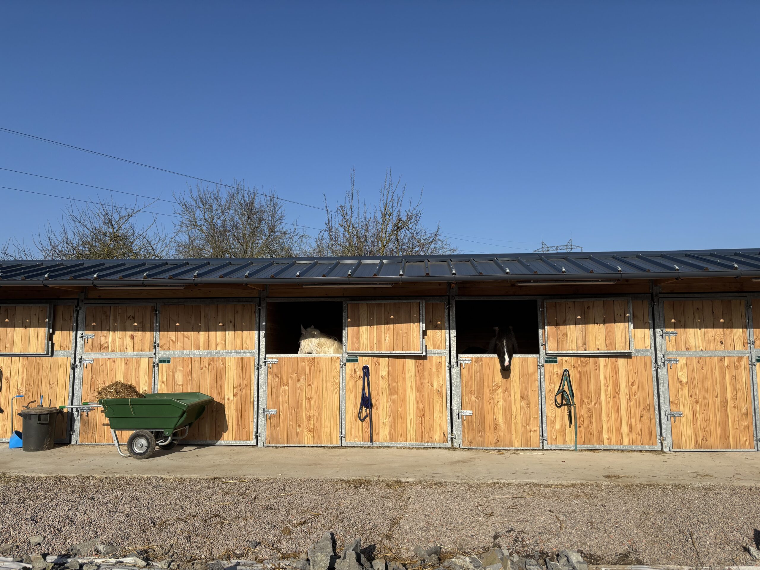 Horse Stables with Full-Width Openings
