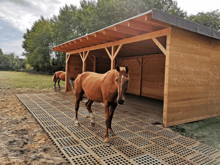 Stabilisation Slabs Installed in a Horse Shelter