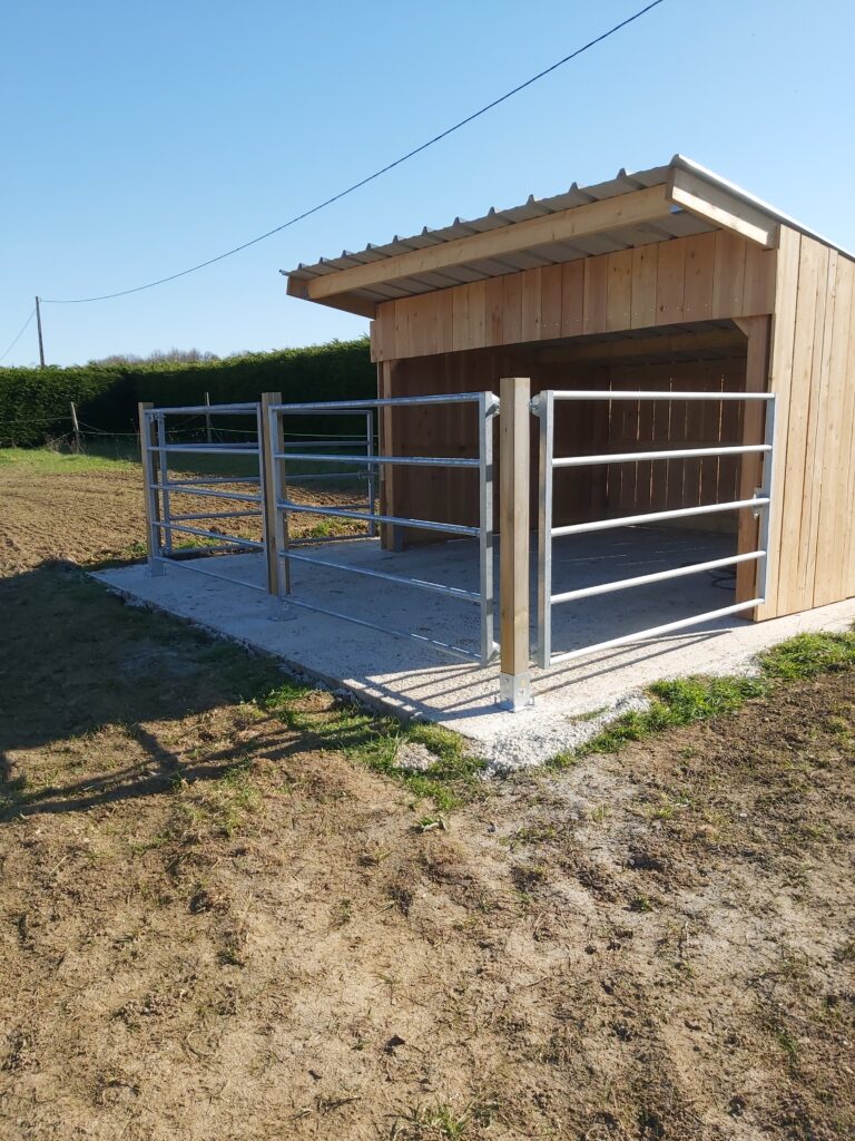 Winter Field Shelter with Extended Roof Overhang for Horses
