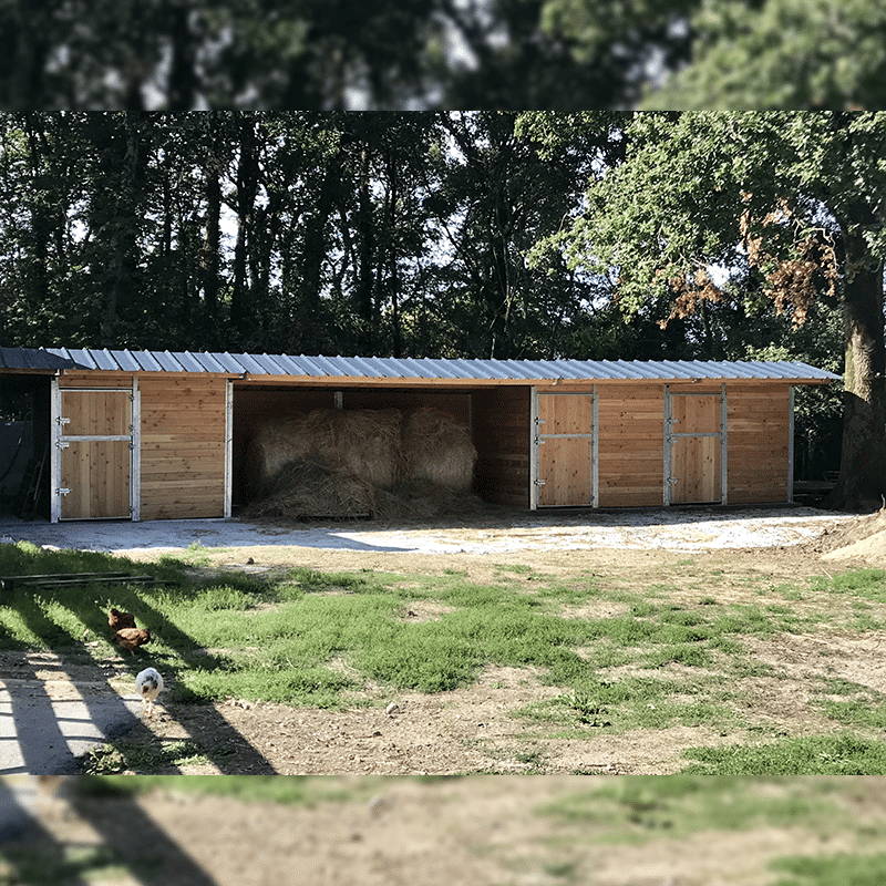Picture 3 Horse Stables + 1 Shelter with Steel Posts