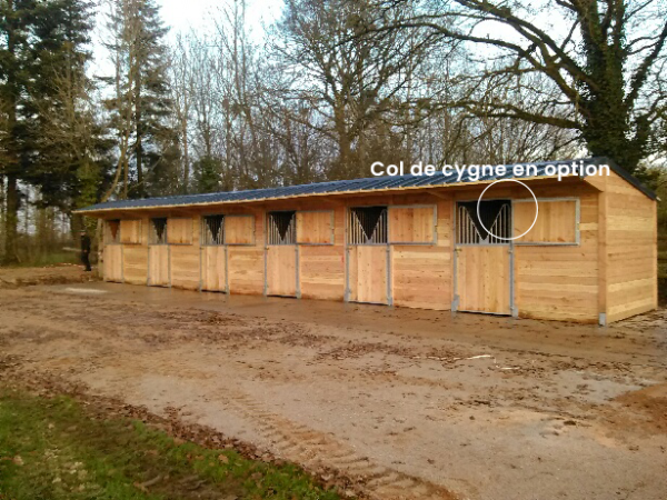 picture douglas fir 6 stables in a row