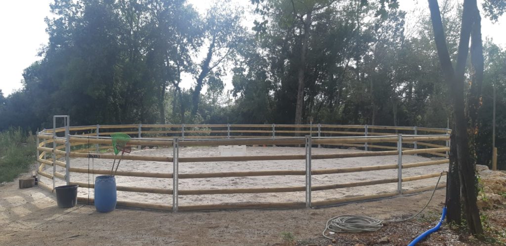 18 m (Approx. 59 ft) Horse Lunging Ring – Hot-Dip Galvanised Steel Structure with Timber Rails for Horse Training