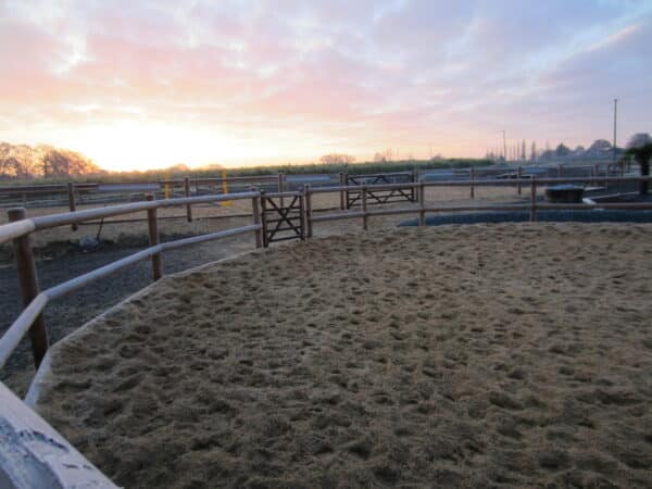 Douglas Fir Wooden Horse Lunging Ring- 16m to 20m Diameter with Cambridge