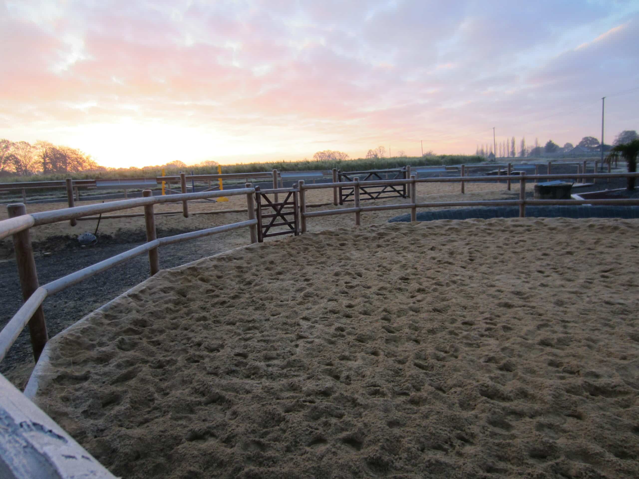 Douglas Fir Wooden Horse Lunging Ring- 16m to 20m Diameter with Cambridge
