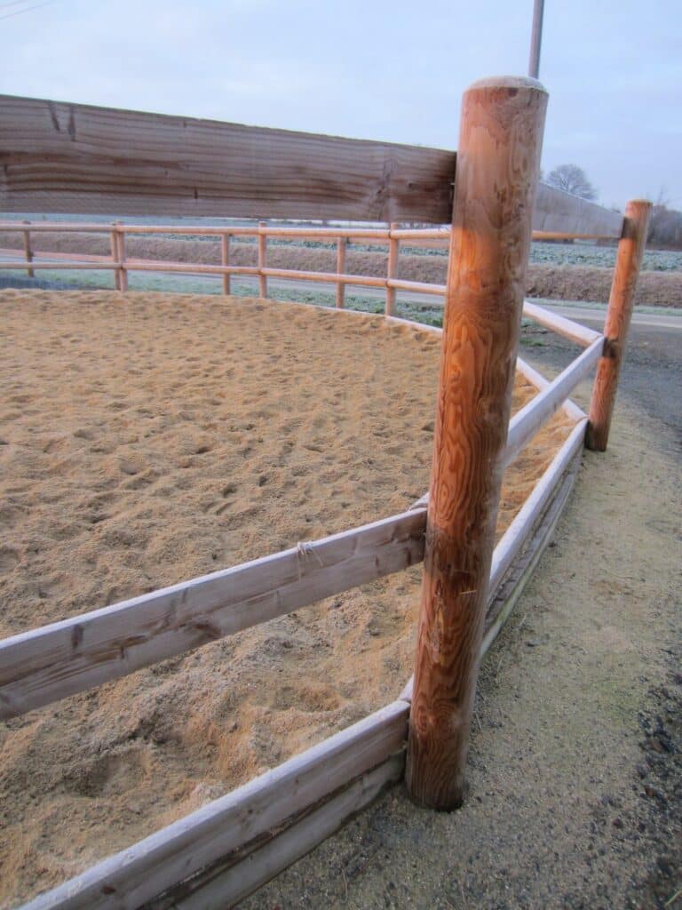 Douglas Fir Wooden Horse Lunging Ring- 16m to 20m Diameter with Cambridge