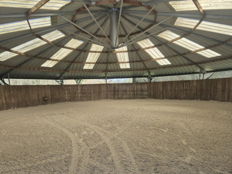 LOISIRS Covered Lunging Ring – Lightweight Structure for Equestrian Use