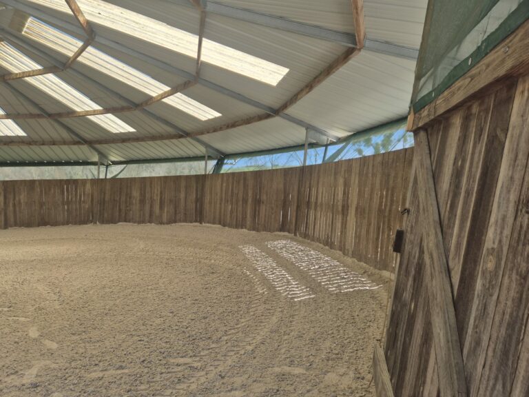 LOISIRS Covered Lunging Ring – Lightweight Structure for Equestrian Use