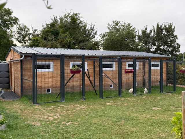 Custom Timber Cat Enclosures