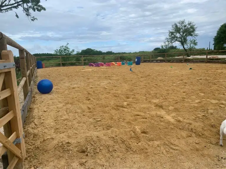 Douglas Fir Timber Edging for Indoor Riding Arenas
