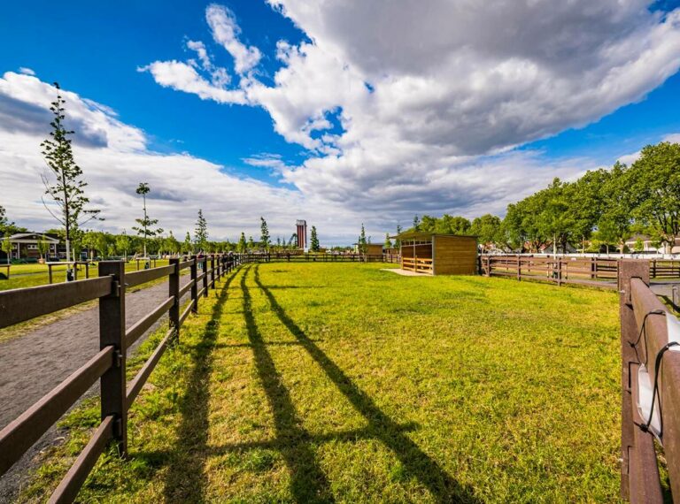 LCI Cheval Enclosure Fencing Installed for an Outdoor Enclosure