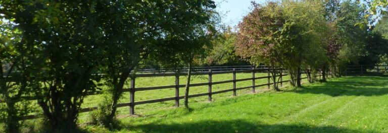 LCI Cheval Enclosure Fencing Installed for an Outdoor Enclosure