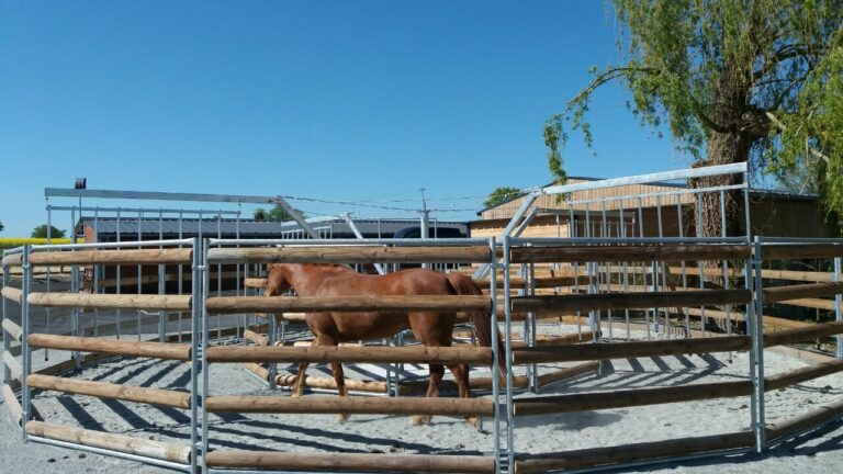 LOISIRS Horse Walker – LCI Cheval