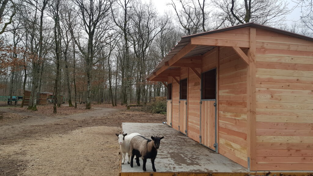 Animal Park Facilities – Bespoke Timber and Steel Shelters