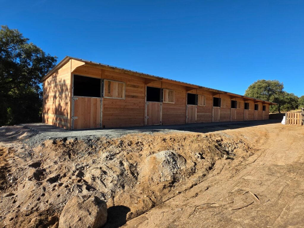 Row of 8 Douglas Fir Horse Stable Boxes – LCI Cheval