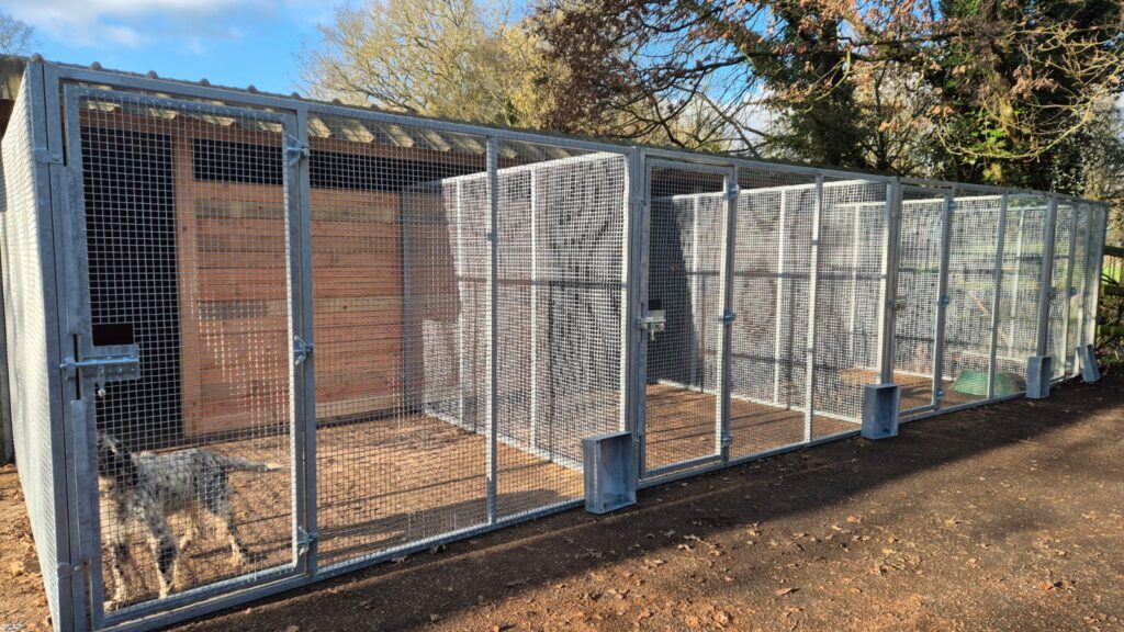 Kennels and runs for pofessional dog kennels