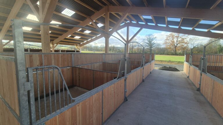 Gooseneck stable front with full-opening door, custom-length bars for mechanical mucking-out