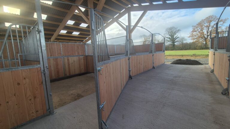 Gooseneck stable front with full-opening door, custom-length bars for mechanical mucking-out