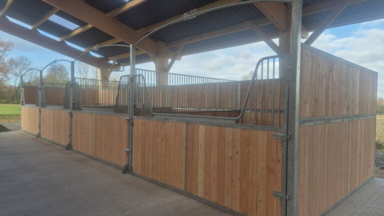 Gooseneck stable front with full-opening door, custom-length bars for mechanical mucking-out