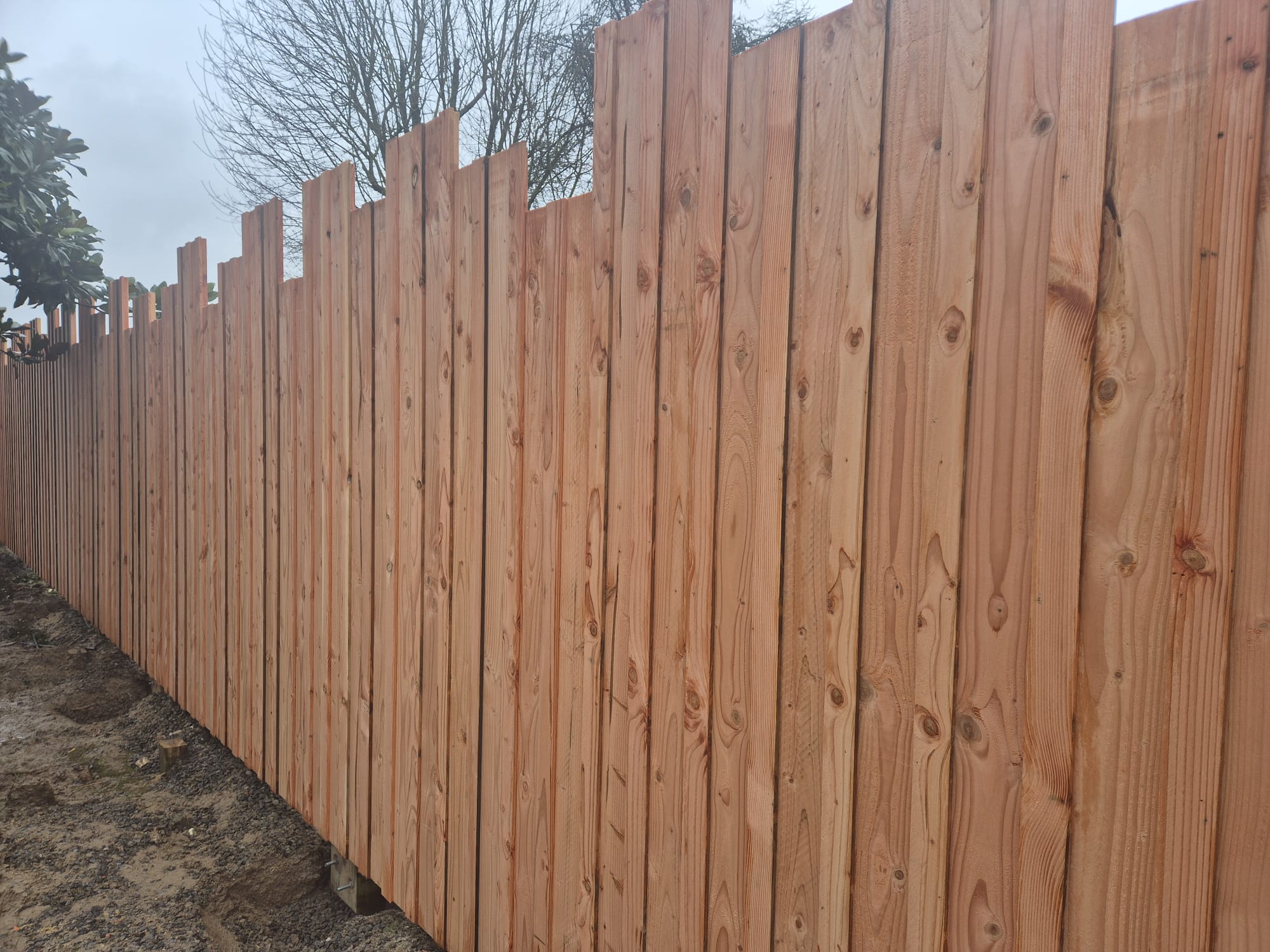 Douglas fir timber Slatted Panels