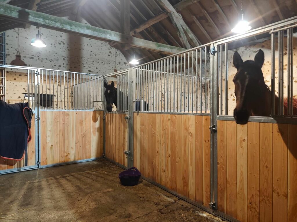 Douglas Fir Stable Front with Hinged Half Door