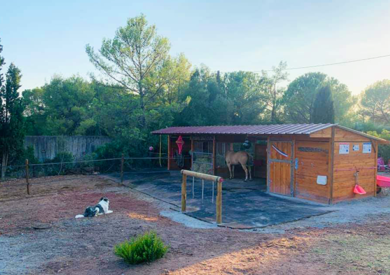 Designing a Functional and Durable Equestrian Yard