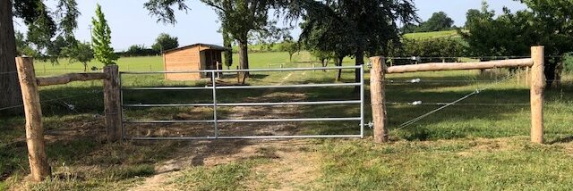 7 Mistakes to Avoid When Installing Horse Fencing