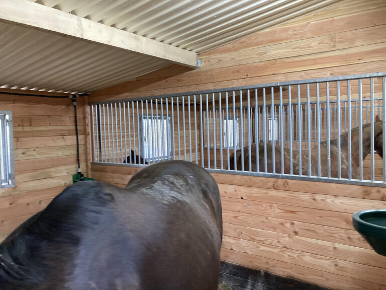 Horse stable Interior details