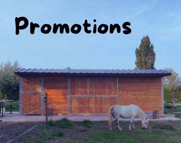 special offers