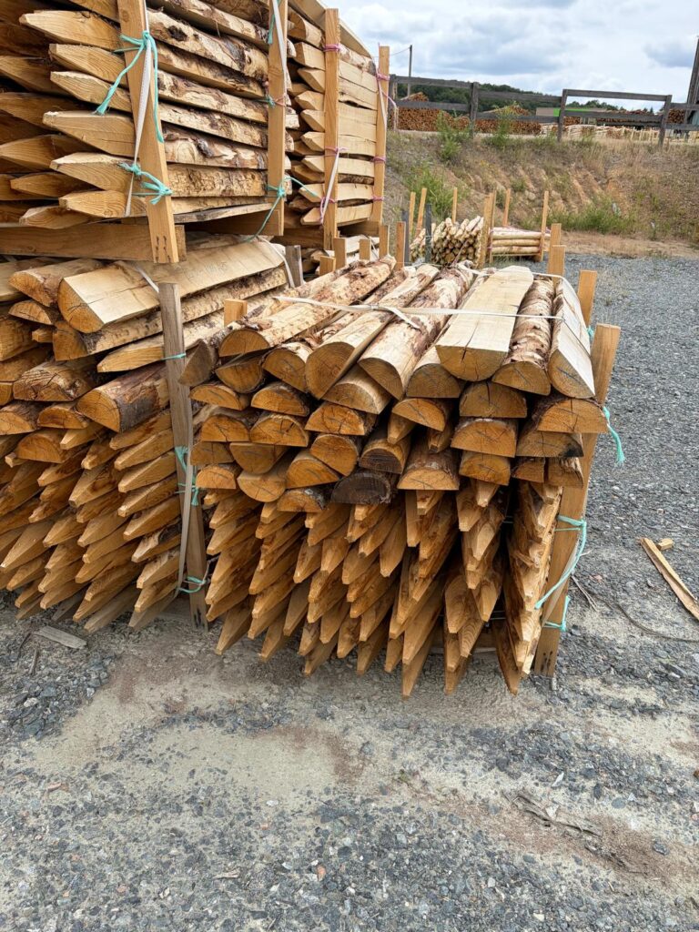 Half a chestnut stake